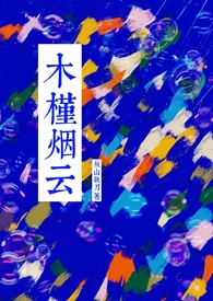 木槿烟云小说是he还是be